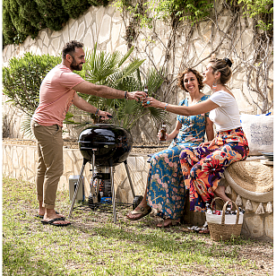 угольный гриль napoleon nk22k-leg-3