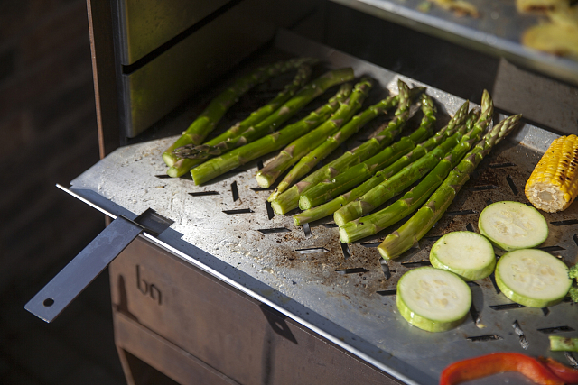 Дровяной гриль NOX BBQ 01