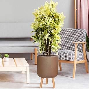 Кашпо Idealist Lite Урбан напольное круглое с подставкой D46 Цвет: кофе, уличное оборудование