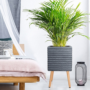 Кашпо Idealist Lite Таун Куб напольное с подставкой 37 Цвет: антрацит, уличное оборудование