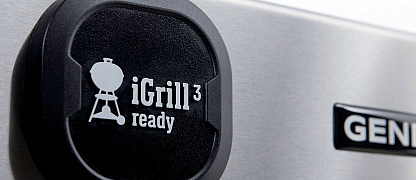 Слот iGrill 3