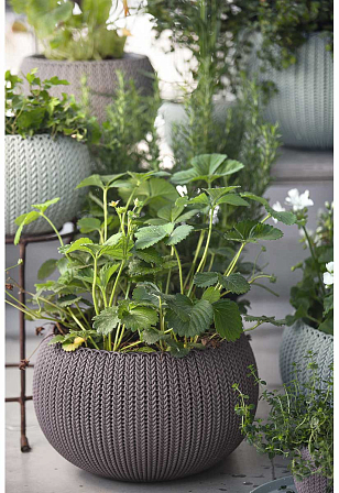 Кашпо Keter Cozies M подвесное Цвет: фиолетовый, уличное оборудование