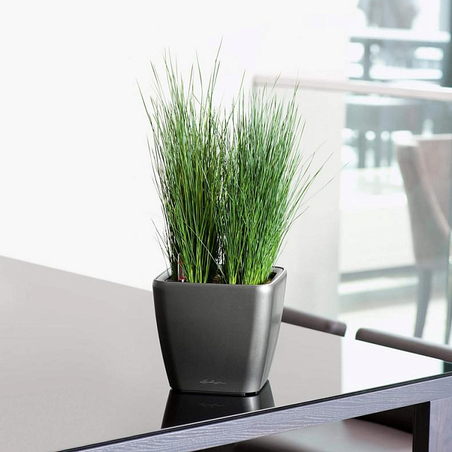 Кашпо с автополивом Lechuza Quadro LS 21 Цвет: кофе 