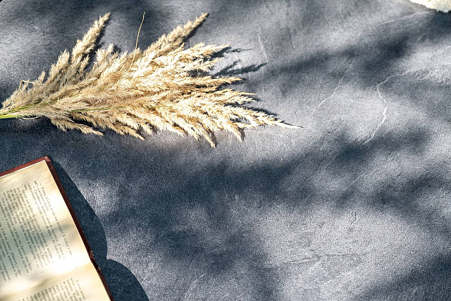 Лаунж-зона 4SIS Канны 4-местная со столом Верона, каркас коричневый, роуп коричневый, столешница серый гранит 