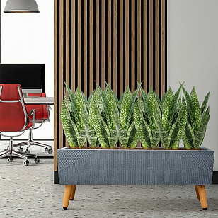 Кашпо Idealist Lite Урбан напольное прямоугольное с подставкой 65 Цвет: антрацит, уличное оборудование