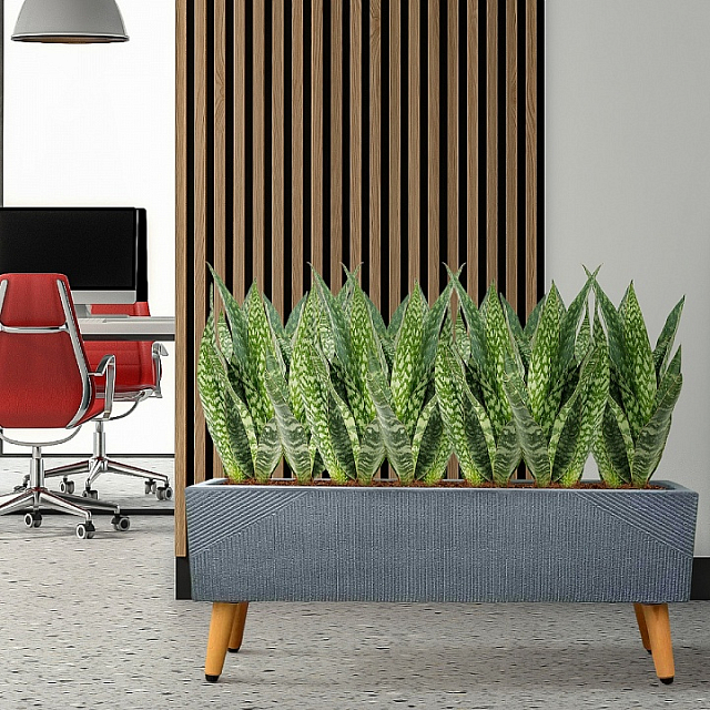 Кашпо Idealist Lite Урбан напольное прямоугольное с подставкой 65 Цвет: антрацит 