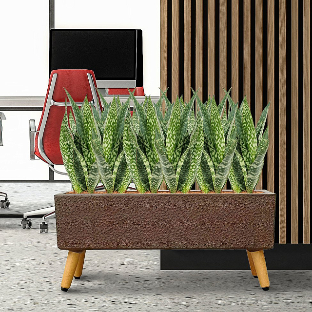 Кашпо Idealist Lite Урбан напольное прямоугольное с подставкой 74 Цвет: кофе 