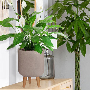 Кашпо Idealist Lite Урбан настольное круглое с подставкой D24 Цвет: серо-коричневый, уличное оборудование