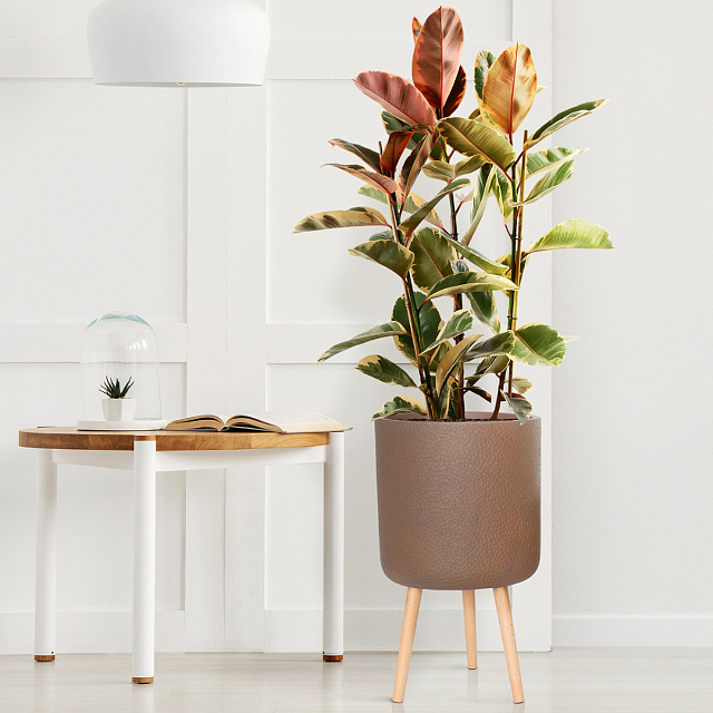 Кашпо Idealist Lite Урбан напольное круглое с подставкой D63 Цвет: кофе 