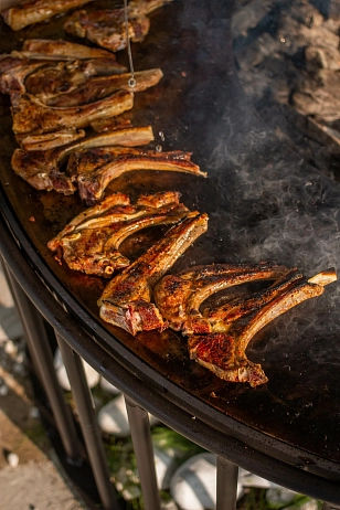 Гриль-очаг Elbrus Home Домбай Ø120 (Термостойкая эмаль) для сада