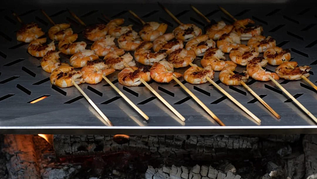 Дровяной гриль NOX BBQ 01