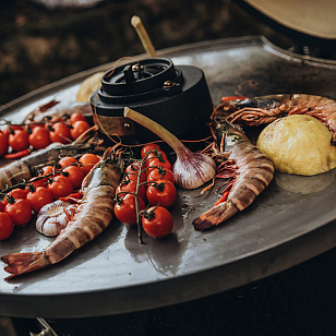 Стальная планча для Monolith Classic