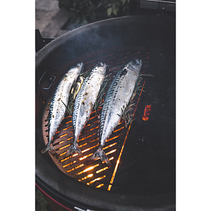 Противень для рыбы и овощей Kamado Joe (Big Joe) для приготовления пищи Противень для рыбы и овощей Kamado Joe (Big Joe) для сада