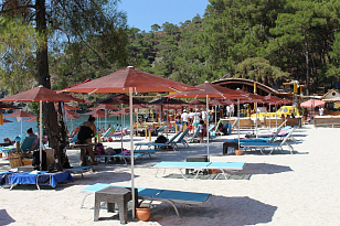 Зонт профессиональный Theumbrela Kiwi Ø225 для дачи Зонт профессиональный Theumbrela Kiwi Ø225, садовая мебель