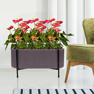 Кашпо Idealist Lite Таун Куб напольное с подставкой 58 Цвет: кофе, уличное оборудование