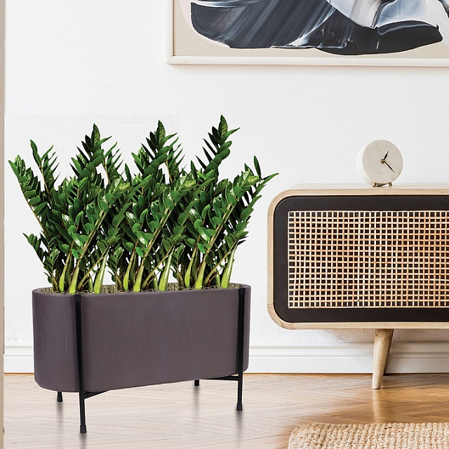 Кашпо Idealist Lite Таун Куб напольное с подставкой 58 Цвет: кофе 