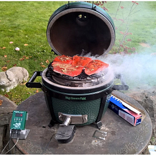 Гриль керамический Big Green Egg MiniMax МиниМакс (диаметр решетки 33 см)