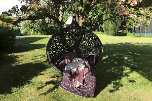 Подвесное кресло Unknown Nordic Bios Mini, садовая мебель