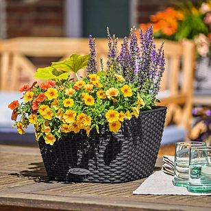 Кашпо с автополивом Lechuza Bacino Cottage Цвет: белый, уличное оборудование