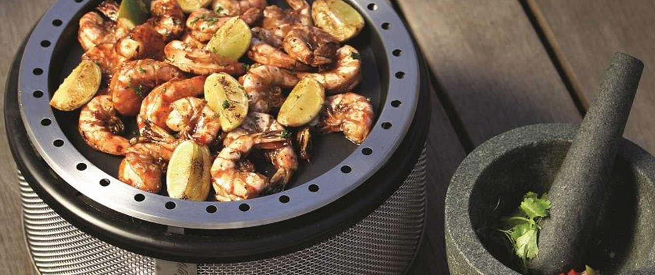 Мини гриль на углях Cobb Premier