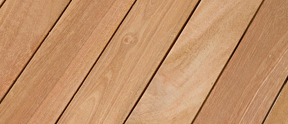 Тиковое дерево