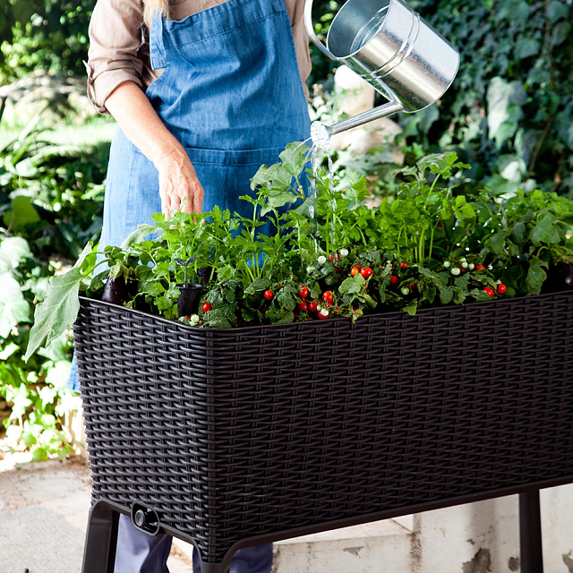 Грядка Keter Easy Grow Цвет: антрацит 