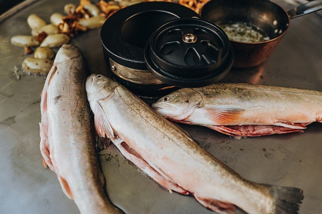 Стальная планча для Monolith Classic