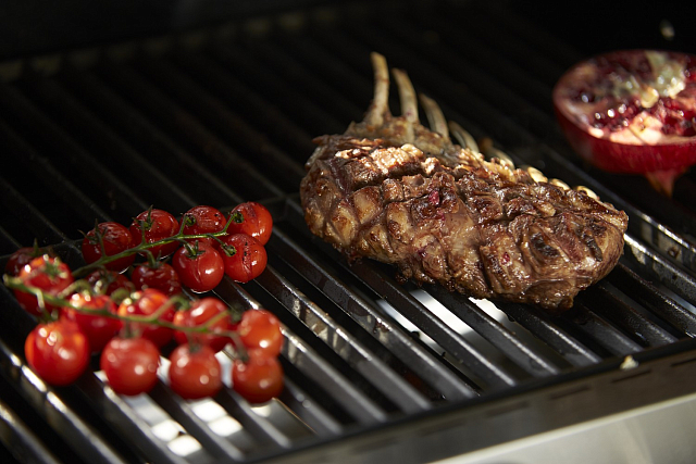 газовый гриль rösle videro g3 (steel)