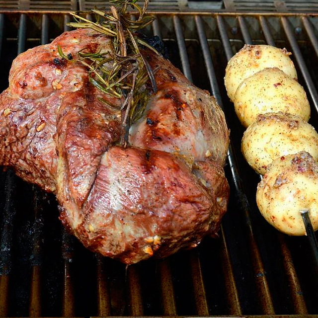 газовый гриль saber 500