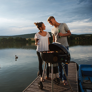 гриль угольный napoleon pro22k-leg