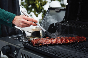 газовый гриль napoleon freestyle 365 sb (с конфоркой)