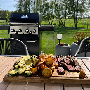 Гриль газовый Broil King Crown 490 для приготовления пищи гриль газовый broil king crown 490